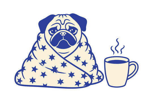Blue and white pug wrapped in star pattern blanket with a steaming coffee cup