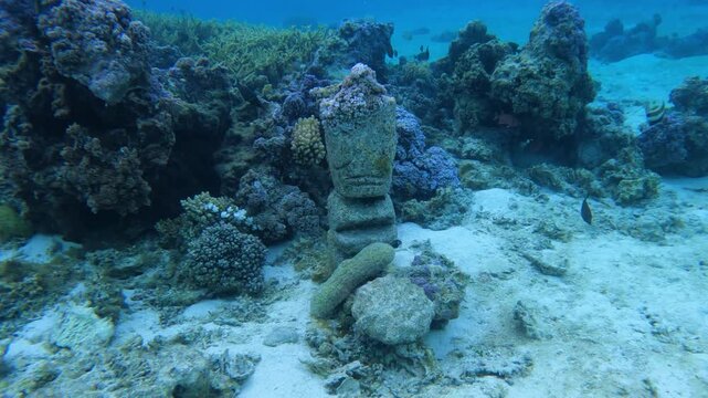 Artificial moai statue covered with coral on shallow tropical reef in Tahiti, French Polynesia. Snorkeling attraction in clear lagoon water with paradise atmosphere.