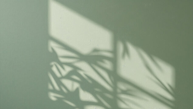 Minimalist green textured wall background with soft organic leaf shadows, natural sunlight casting flowing botanical silhouettes, calming sage green color palette. 