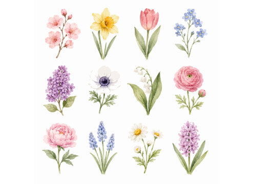 Watercolor Botanical Flower Stems, Floral Elements, Spring Blossoms, Clipart Set