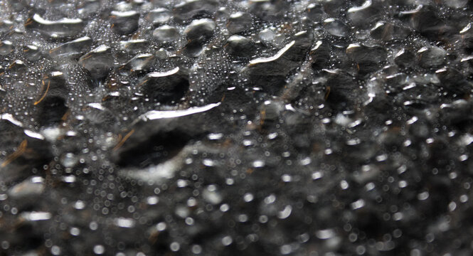 macro photography featuring water droplets, condensation, and moisture on various surfaces