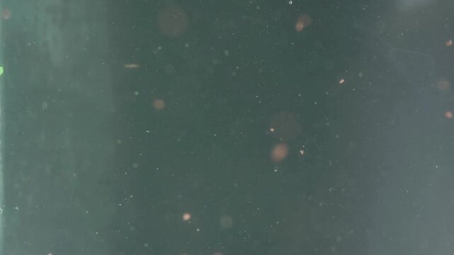 Plastic particle floating and moving in the water, microplastic contamination concept