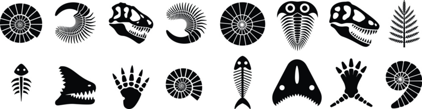 Collection of prehistoric fossil icons dinosaur skulls ammonites trilobites ancient life forms in vector art with dinosaur prehistoric archeology paleontology