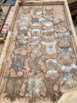 Tannerie &agrave; F&egrave;s &ndash; artisanat traditionnel et savoir-faire marocain