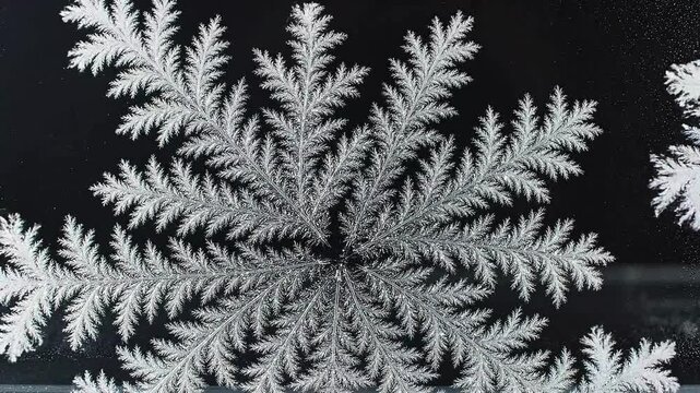 A detailed close-up video captures a beautiful snowflake forming on a surface.