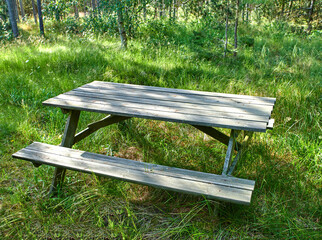 Naklejka premium Trees, grass and wood picnic table in forest with seat, plants and peaceful environment to relax. Nature, outdoor and bench in woods with spring season, growth and natural landscape for serenity.