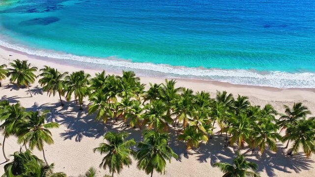 A tropical lagoon with vibrant palm trees on white sand and turquoise waters. Wild Rincon Beach, Samana Island, Dominican Republic. Blue lagoon bay and azure ocean on a sunny summer day.