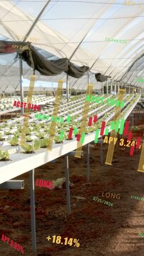 Vertical video: Camera panning causing AR charts cascading over plant beds, showing crop ROI