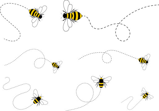 Bee flying path. Cute bees flying with dotted lines, isolated on white background. Professional Hand drawn vector image