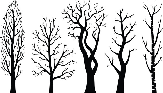 Minimalist black and white silhouette of bare winter trees against foggy sky