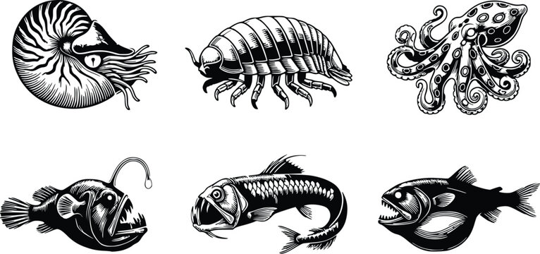 Hand drawn deep sea marine life vector collection with vintage woodcut engraving style featuring octopus anglerfish nautilus isopod and viperfish isolated on white for dark aesthetic nautical art and 