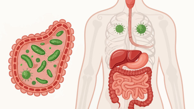 Illustration of human digestive system with viruses and bacteria human body internal organs digestive tract medical condition body systems intestines bacteria microbes infection illustration