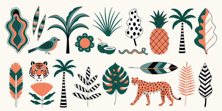 Jungle themed collection of stylized tropical plants animals and natural elements