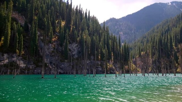 Lake Kaindy underwater forest dead trunks rising from crystal clear water nature Kazakhstan

