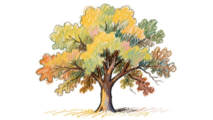 Fototapeta premium Textured oak tree with colorful autumn leaves, isolated on transparent background