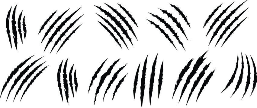 Animal claw scratches and monster scratch marks vector set. Black horror slash marks, tiger or bear paw rips, and predator talon scratches illustration.