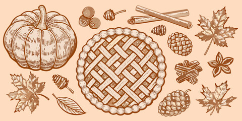 Autumn fall collection with pumpkin pie leaves and pine cones illustration © BelaRani