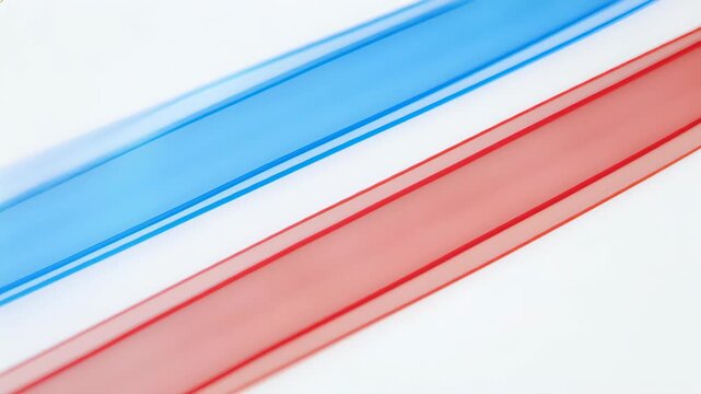 Blue and red abstract lines on white background, seamless loop