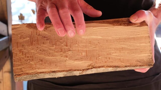 Raw natural beech wood in a man's hands, close up. Tactile interaction with natural, organic materials. Bright sunlight. Help from digital fatigue.