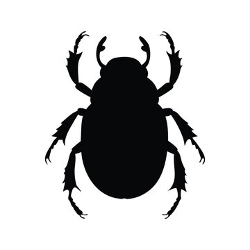 Minimalist black dung beetle silhouette vector illustration for design, dung beetle silhouette vector illustration