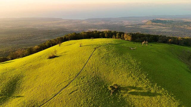 Aerial view of the lush green slopes of Puu Waawaa cinder cone during golden hour in Hawaii County, Hawaii, United States.