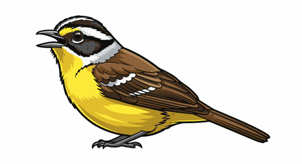 Obraz premium Small yellow and brown bird with black and white head markings