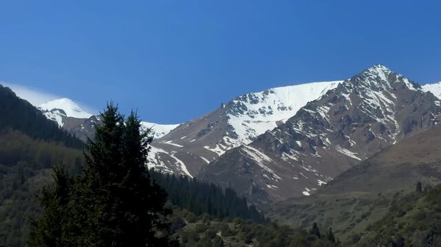 spring mountain landscape, trees against snowy peaks, Ala-Archa gorge, Kyrgyzstan