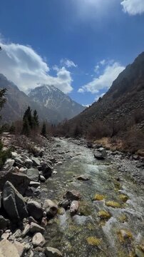 Mountain river in Ala-Archa gorge with mountain background spring landscape Kyrgyzstan

