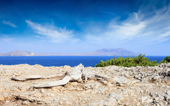 Dry roots of tree stretch across rocky coast near deep blue sea. Distant islands rise above sea horizon under cirrus clouds and summer sky. Arid landscape with natural Mediterranean environment