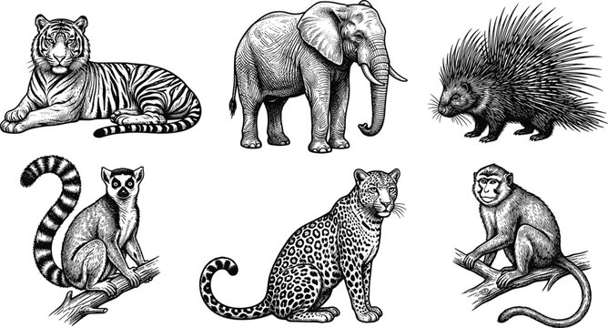 African Safari Animal Silhouette Collection Featuring Elephant, Giraffe, Lion, Hippo, Rhino, and Buffalo for Wildlife Conservation Posters, Nature Education, and Zoo Branding DesignsAfrican Safari Ani