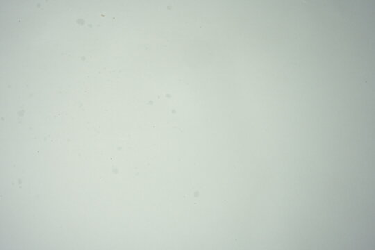 Minimalist solid white background with subtle natural paper texture and soft lighting.