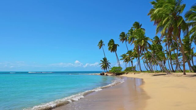 Coconut palms in front of turquoise sea waves on a tropical beach in Thailand. Hot summer concept in Asia. Deserted island with palm trees on the beach. A paradise for relaxation and recreation.