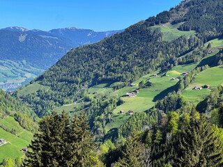 Alpine meadows and pastures on the slopes of the Uri Alps mountain massif and in the alpine valley Melchtal - Canton of Obwalden, Switzerland (Kanton Obwald, Schweiz) © Mario