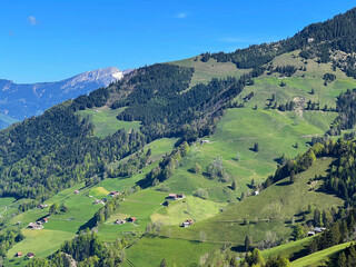 Alpine meadows and pastures on the slopes of the Uri Alps mountain massif and in the alpine valley Melchtal - Canton of Obwalden, Switzerland (Kanton Obwald, Schweiz) © Mario