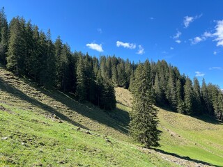 Alpine meadows and pastures on the slopes of the Uri Alps mountain massif and in the alpine valley Melchtal - Canton of Obwalden, Switzerland (Kanton Obwald, Schweiz) © Mario