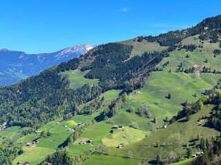 Alpine meadows and pastures on the slopes of the Uri Alps mountain massif and in the alpine valley Melchtal - Canton of Obwalden, Switzerland (Kanton Obwald, Schweiz) © Mario