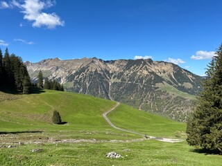 Alpine meadows and pastures on the slopes of the Uri Alps mountain massif and in the alpine valley Melchtal - Canton of Obwalden, Switzerland (Kanton Obwald, Schweiz) © Mario