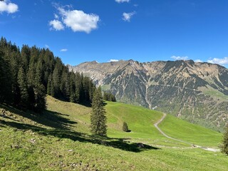 Alpine meadows and pastures on the slopes of the Uri Alps mountain massif and in the alpine valley Melchtal - Canton of Obwalden, Switzerland (Kanton Obwald, Schweiz) © Mario