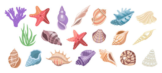 Fototapeta na wymiar Tropical sea shell and coral collection in flat pastel style isolated marine vector illustration set bundle