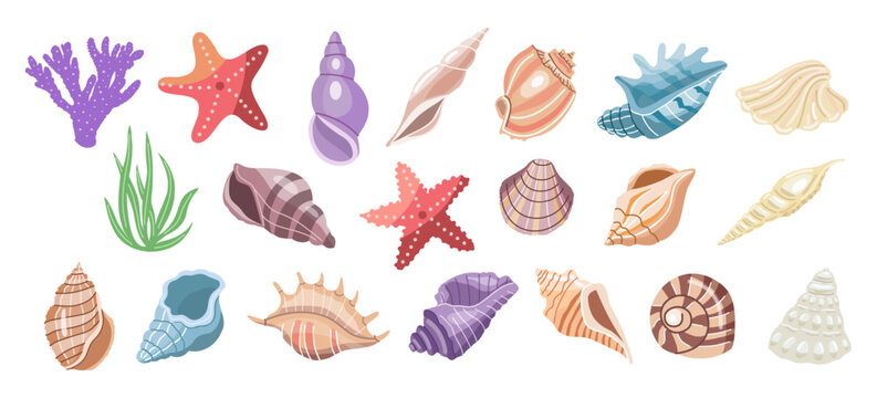 Tropical sea shell and coral collection in flat pastel style isolated marine vector illustration set bundle