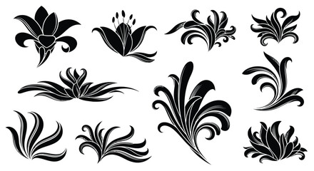 Fototapeta premium Adobe Illustrator Artwork