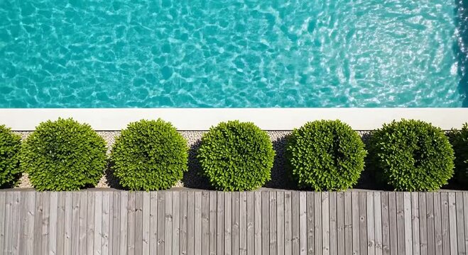 Overhead blue pool, white edge, green rounded shrubs, gravel, and weathered wooden fence