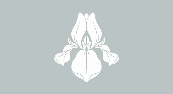 Stylized white iris flower silhouette on a muted gray background