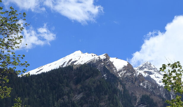 Snow covered Himalayan peaks and deodar forest in Harsil Valley Uttarkashi India. Beautiful snow-covered Himalayan mountains rising above dense deodar forest under dramatic clouds in Harsil Valley.