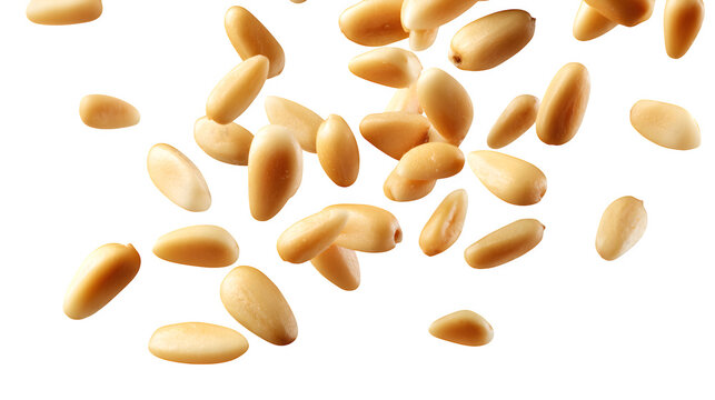 Pine nuts falling with natural light for healthy snack food isolated on transparent background