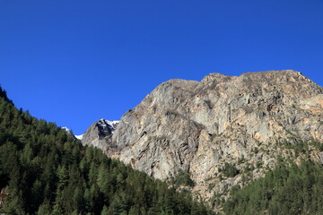 Fototapeta premium Snow covered Himalayan peaks and deodar forest in Harsil Valley Uttarkashi India. Beautiful snow-covered Himalayan mountains rising above dense deodar forest under dramatic clouds in Harsil Valley.