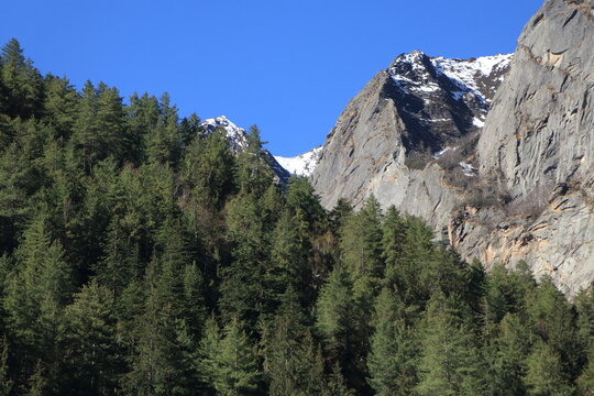 Snow covered Himalayan peaks and deodar forest in Harsil Valley Uttarkashi India. Beautiful snow-covered Himalayan mountains rising above dense deodar forest under dramatic clouds in Harsil Valley.