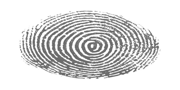 Abstract grunge realistic human fingerprints side by side, black ink fingerprint marks on white background, forensic identification style, detailed ridge texture, minimal clean design.
