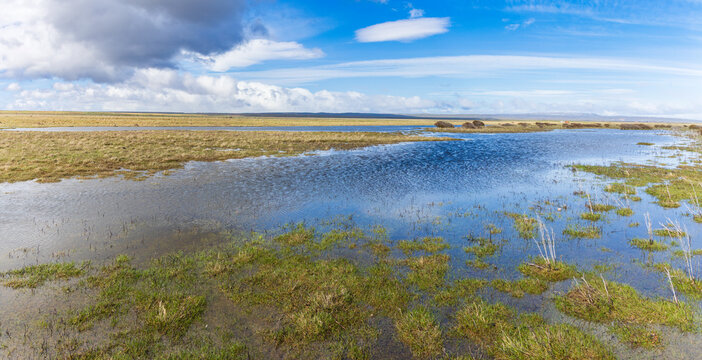 Spring in Patagonia; flooded pampas in southern Chile