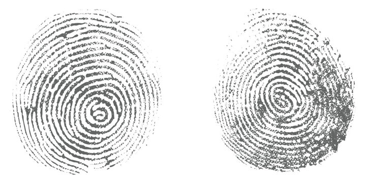 Abstract grunge realistic human fingerprints side by side, black ink fingerprint marks on white background, forensic identification style, detailed ridge texture, minimal clean design.